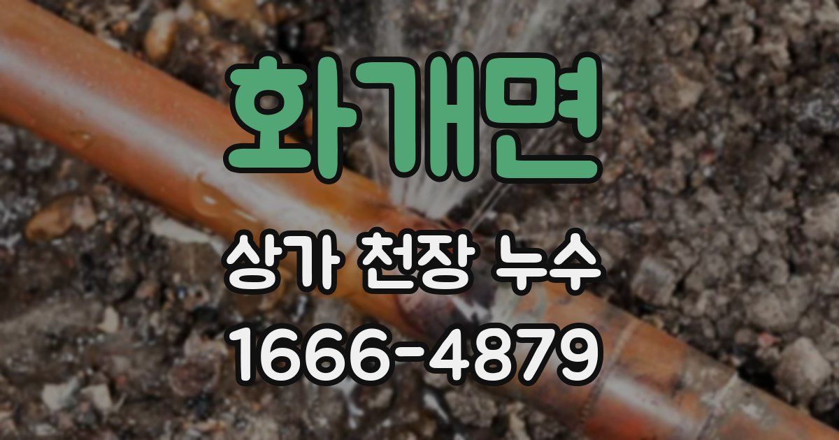 화개면 상가 천장 누수