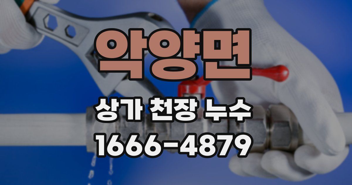 악양면 상가 천장 누수