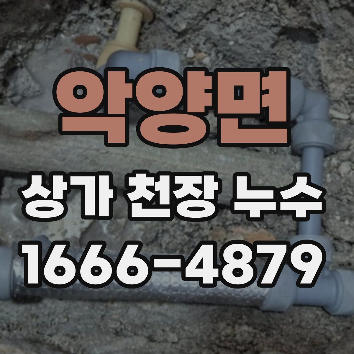 악양면 상가 천장 누수