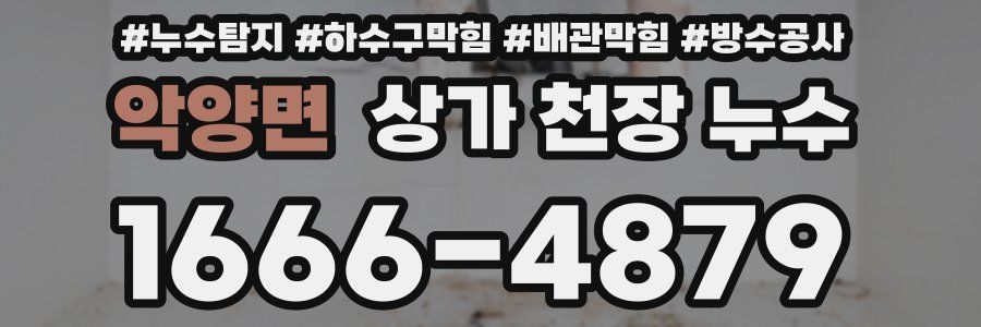 악양면 상가 천장 누수