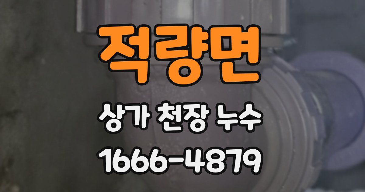 적량면 상가 천장 누수