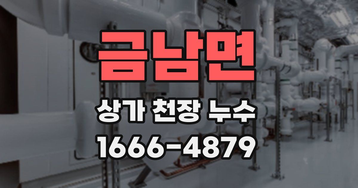 금남면 상가 천장 누수