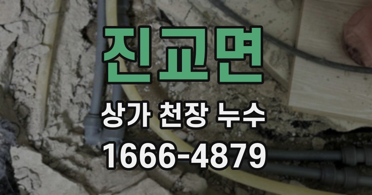 진교면 상가 천장 누수