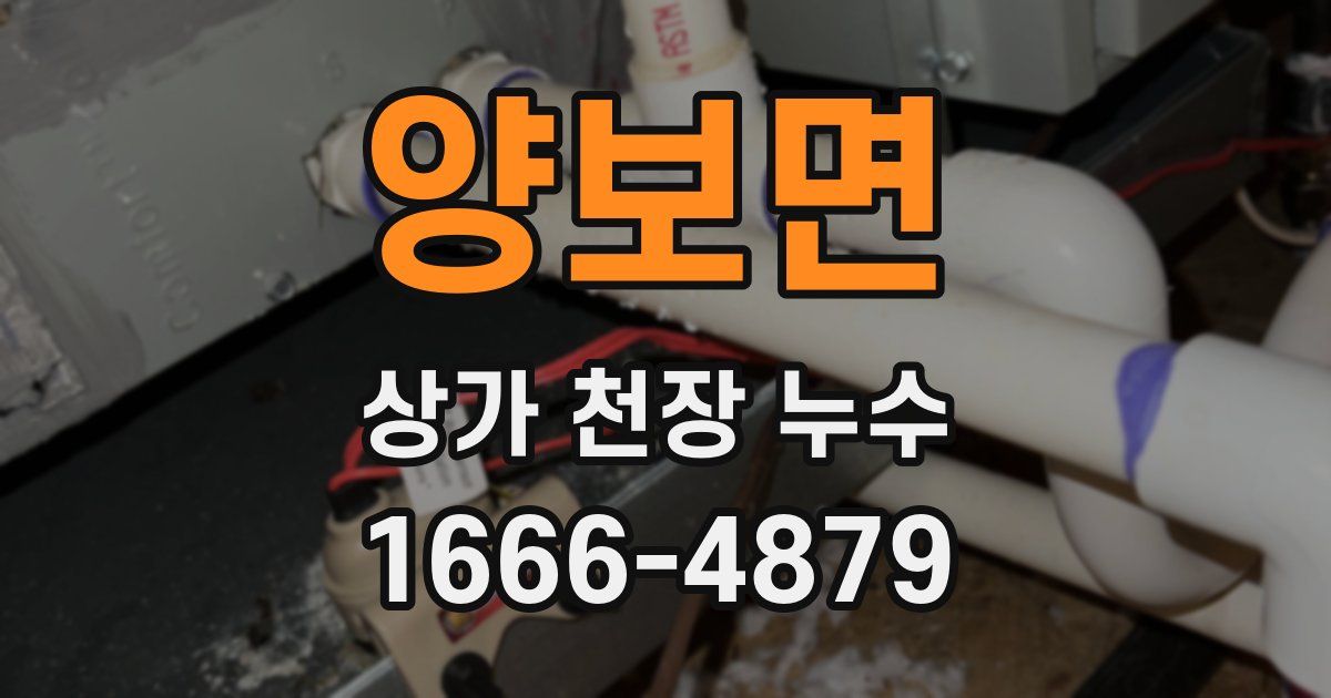 양보면 상가 천장 누수