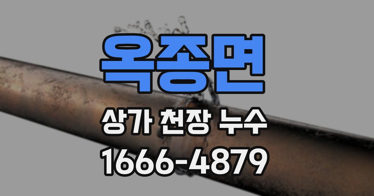 옥종면 상가 천장 누수
