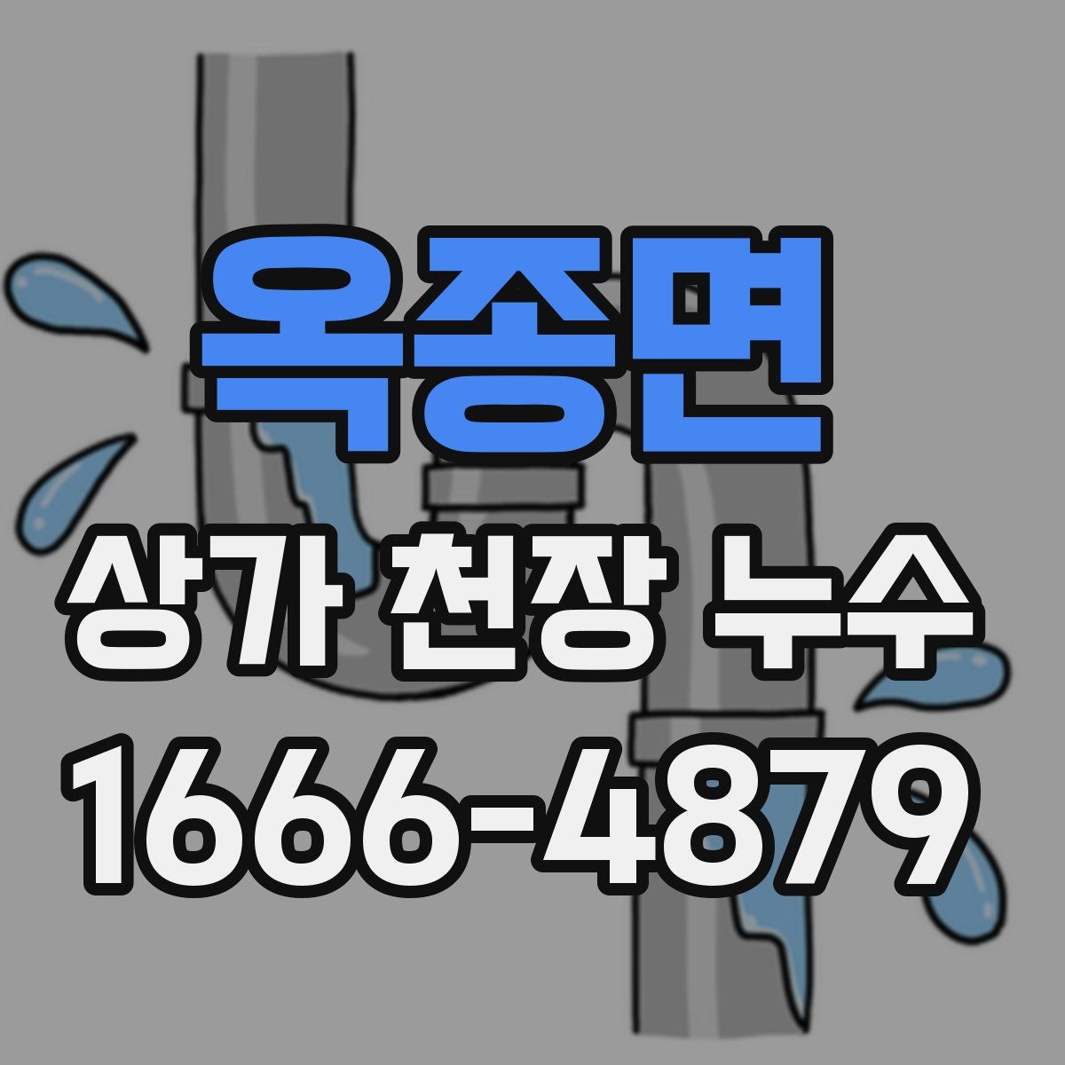 옥종면 상가 천장 누수