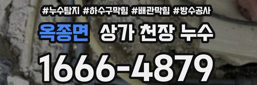 옥종면 상가 천장 누수