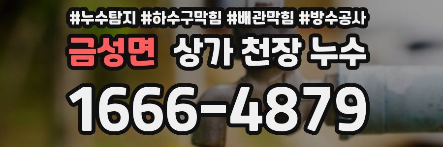 금성면 상가 천장 누수