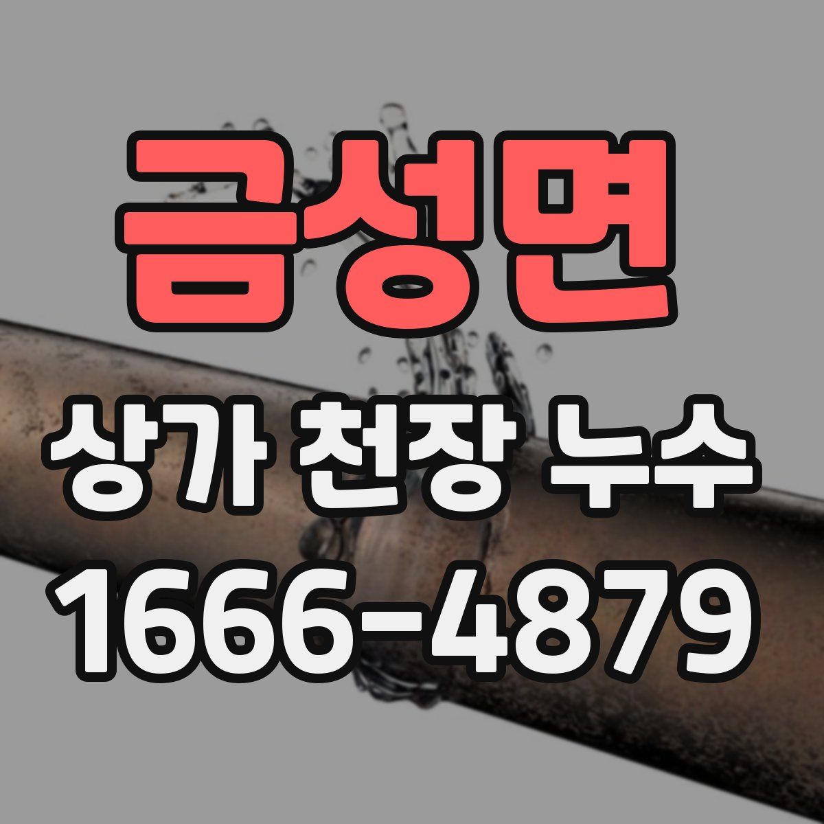 금성면 상가 천장 누수