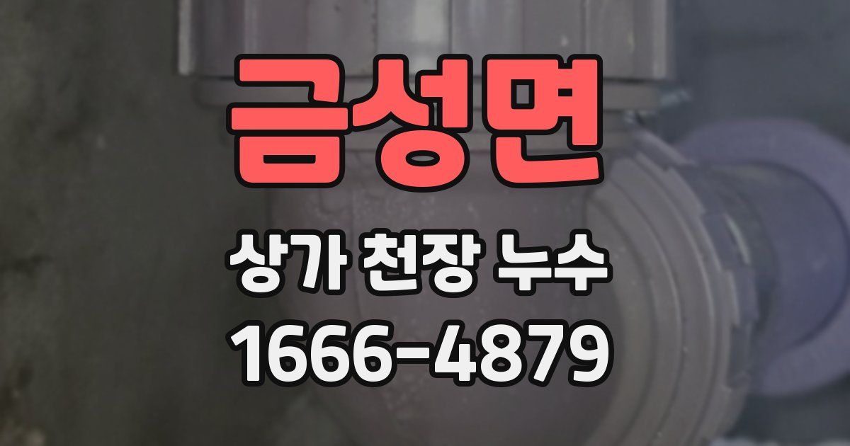 금성면 상가 천장 누수