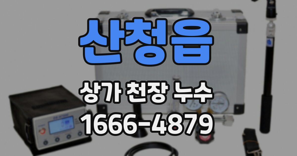 산청읍 상가 천장 누수