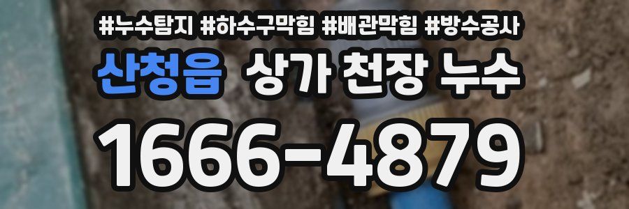 산청읍 상가 천장 누수