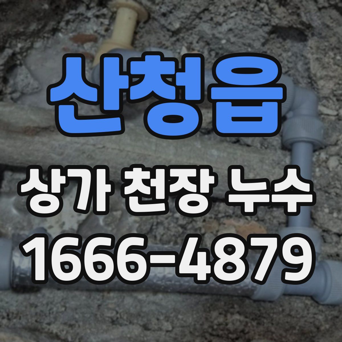 산청읍 상가 천장 누수