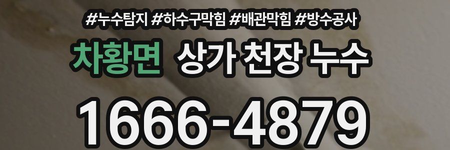 차황면 상가 천장 누수