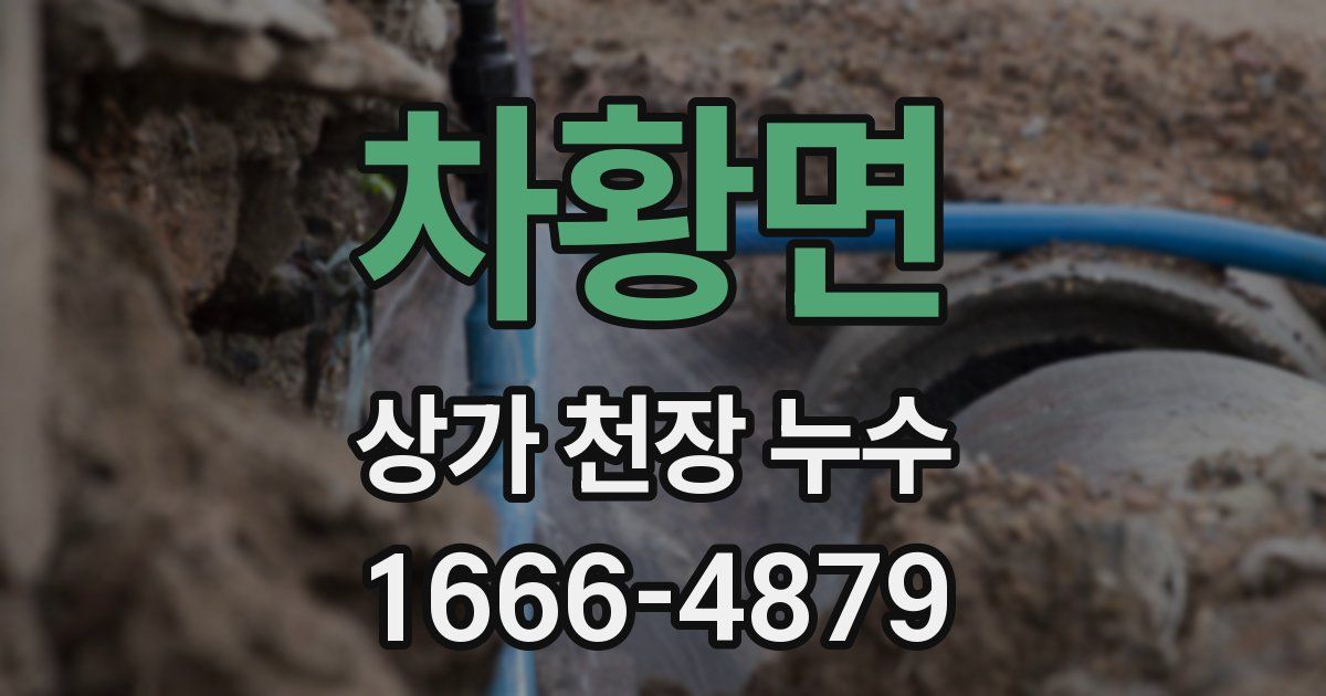 차황면 상가 천장 누수