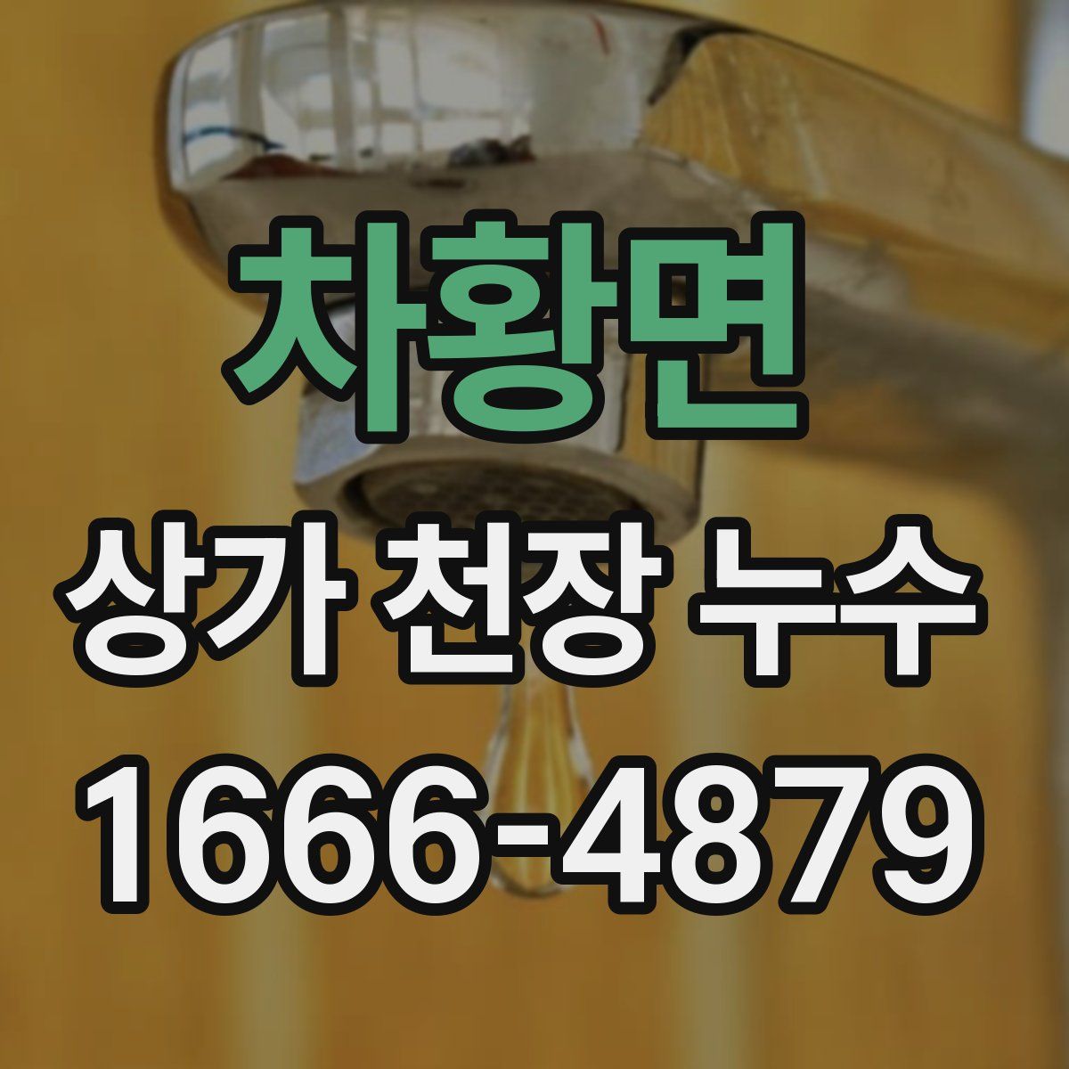 차황면 상가 천장 누수