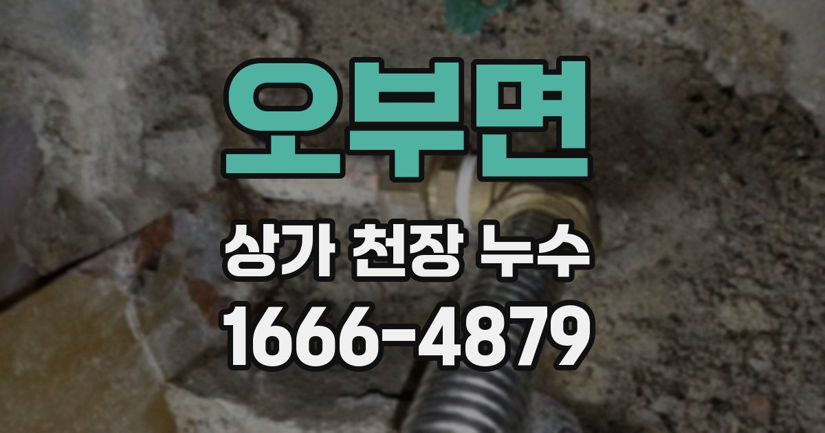 오부면 상가 천장 누수