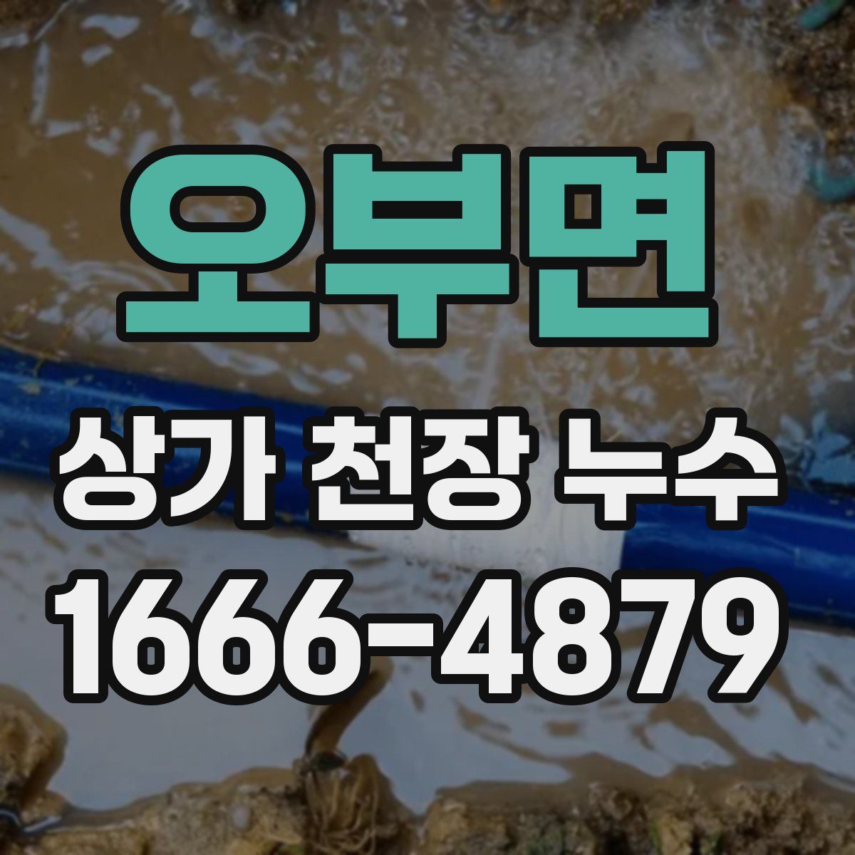 오부면 상가 천장 누수