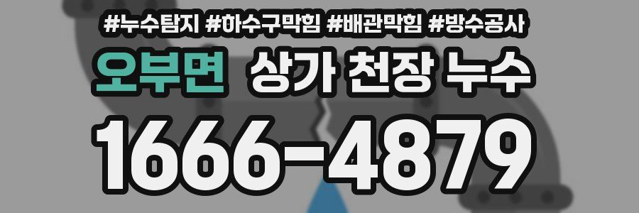 오부면 상가 천장 누수