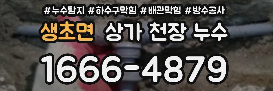 생초면 상가 천장 누수