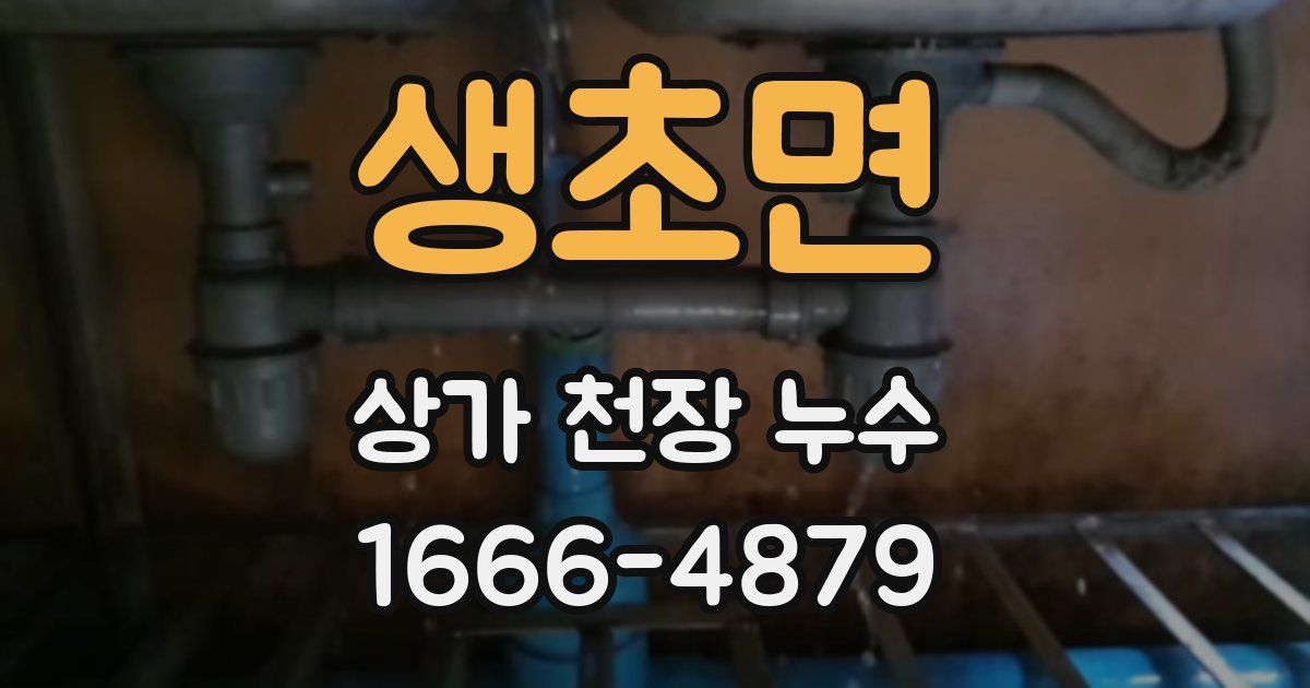 생초면 상가 천장 누수