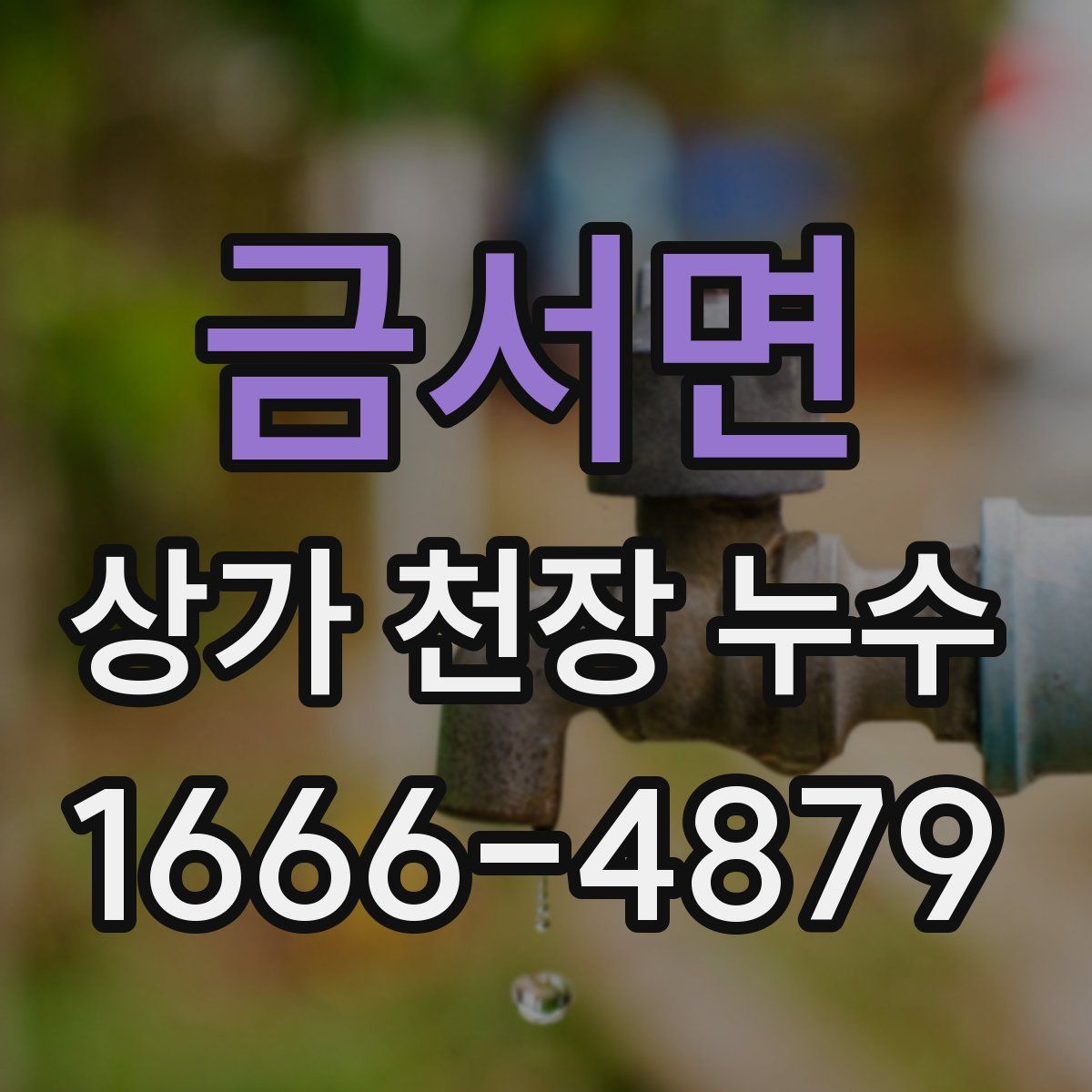 금서면 상가 천장 누수