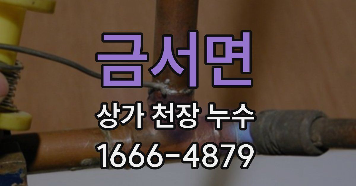 금서면 상가 천장 누수