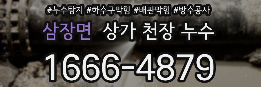 삼장면 상가 천장 누수