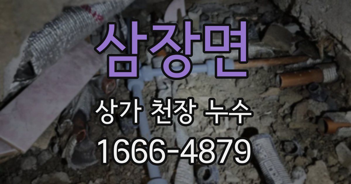 삼장면 상가 천장 누수
