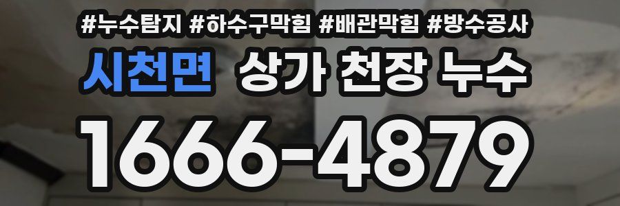 시천면 상가 천장 누수