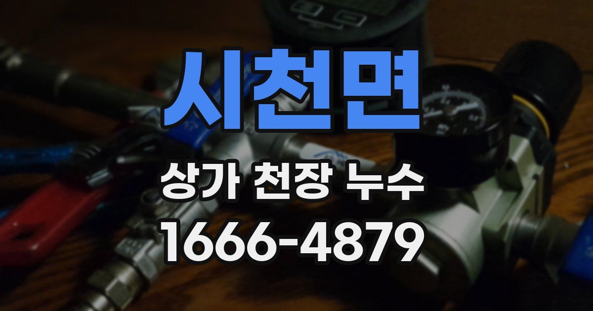 시천면 상가 천장 누수