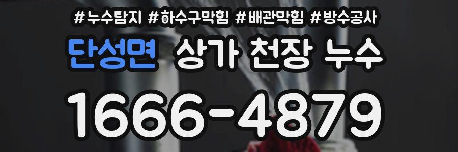 단성면 상가 천장 누수