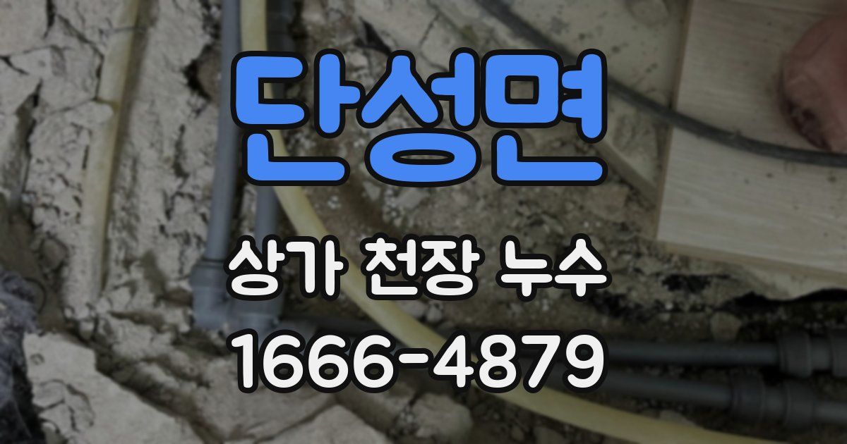 단성면 상가 천장 누수