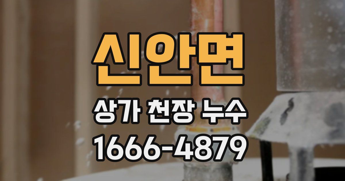 신안면 상가 천장 누수