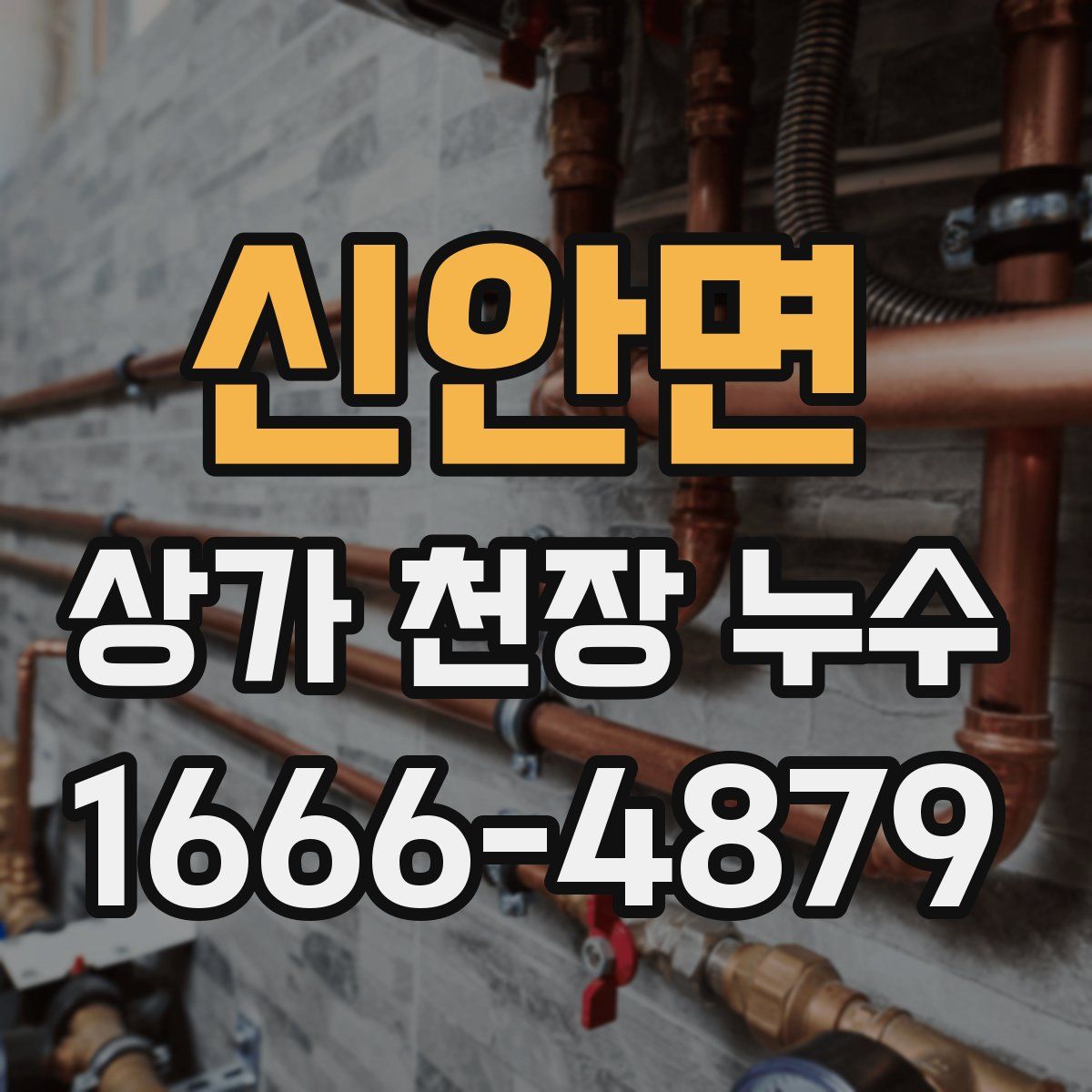 신안면 상가 천장 누수