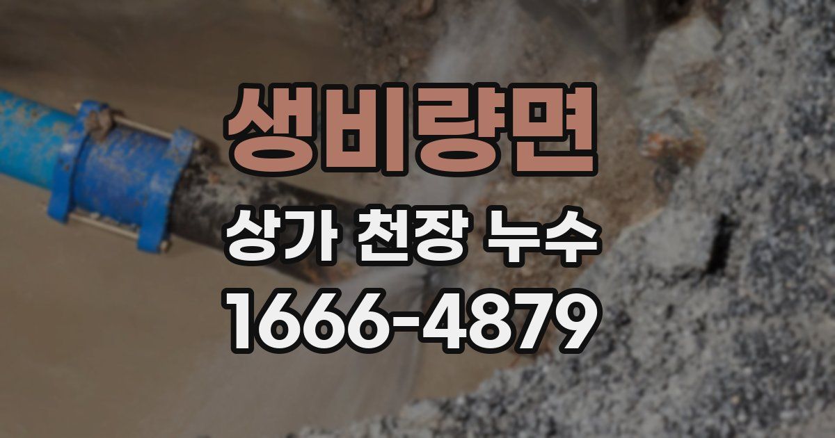 생비량면 상가 천장 누수