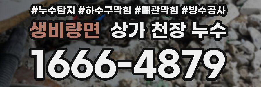 생비량면 상가 천장 누수