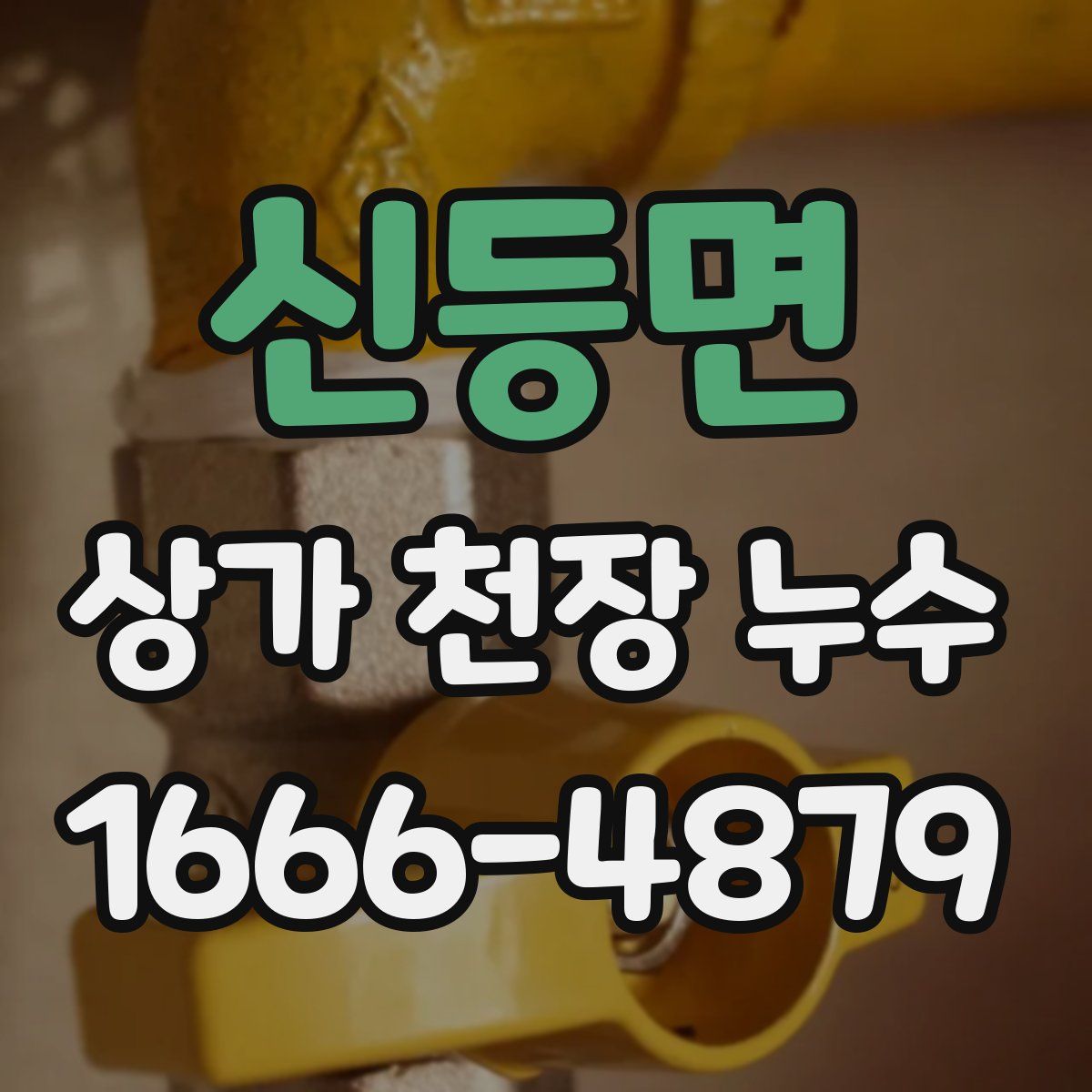 신등면 상가 천장 누수