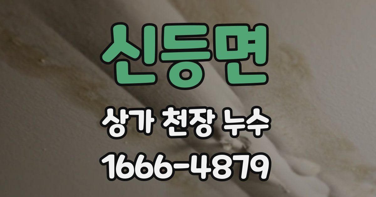 신등면 상가 천장 누수