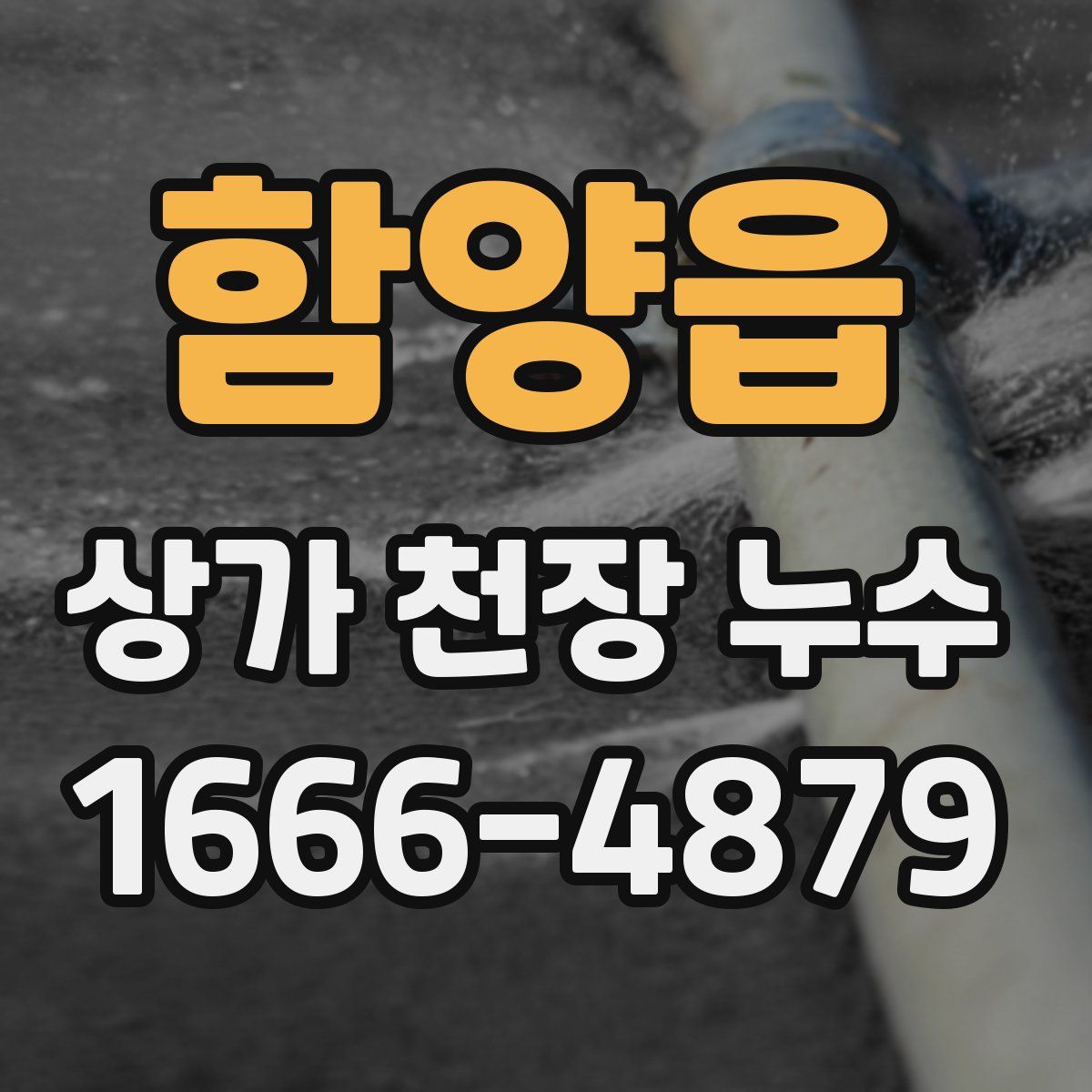 함양읍 상가 천장 누수