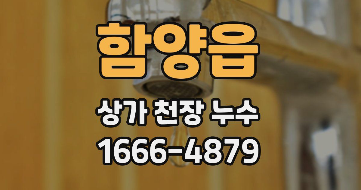 함양읍 상가 천장 누수
