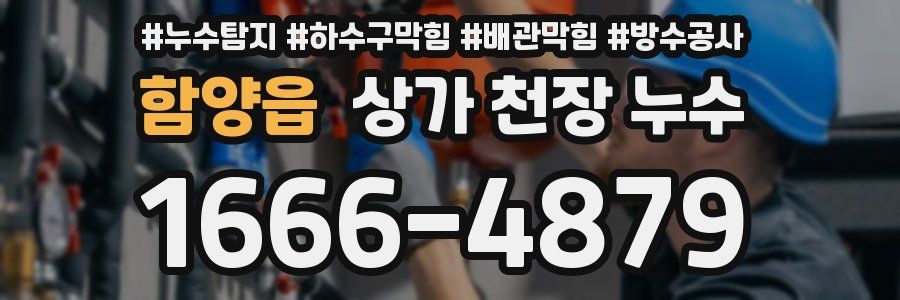 함양읍 상가 천장 누수
