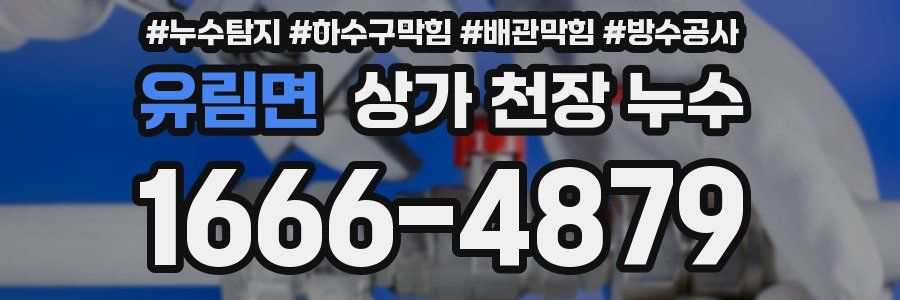 유림면 상가 천장 누수
