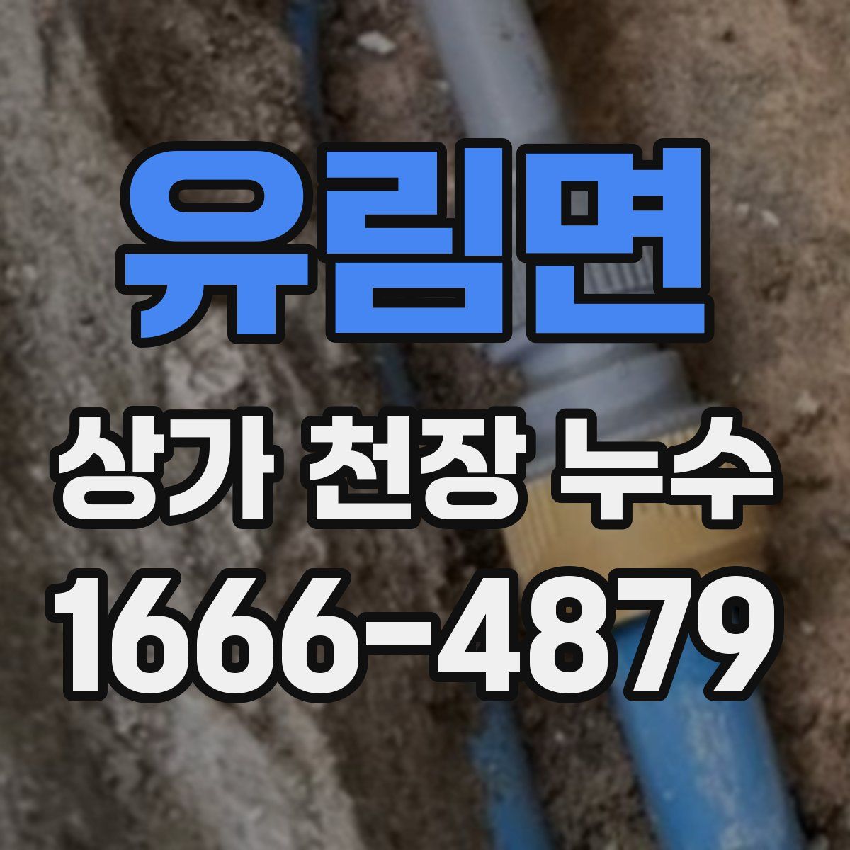 유림면 상가 천장 누수