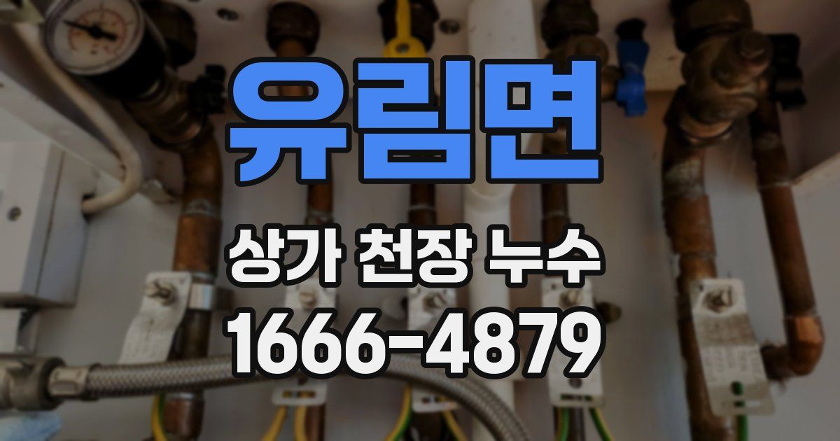 유림면 상가 천장 누수