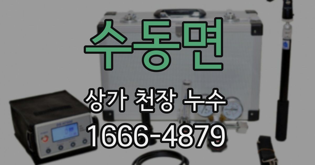 수동면 상가 천장 누수