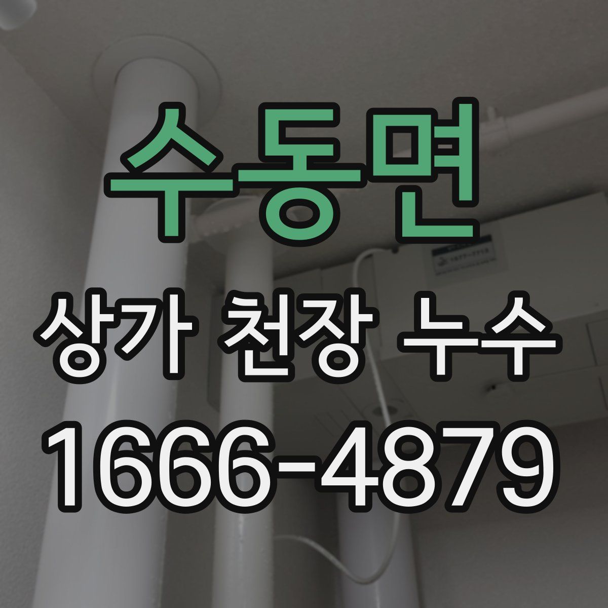 수동면 상가 천장 누수