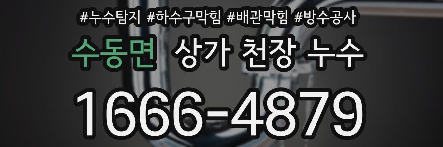 수동면 상가 천장 누수