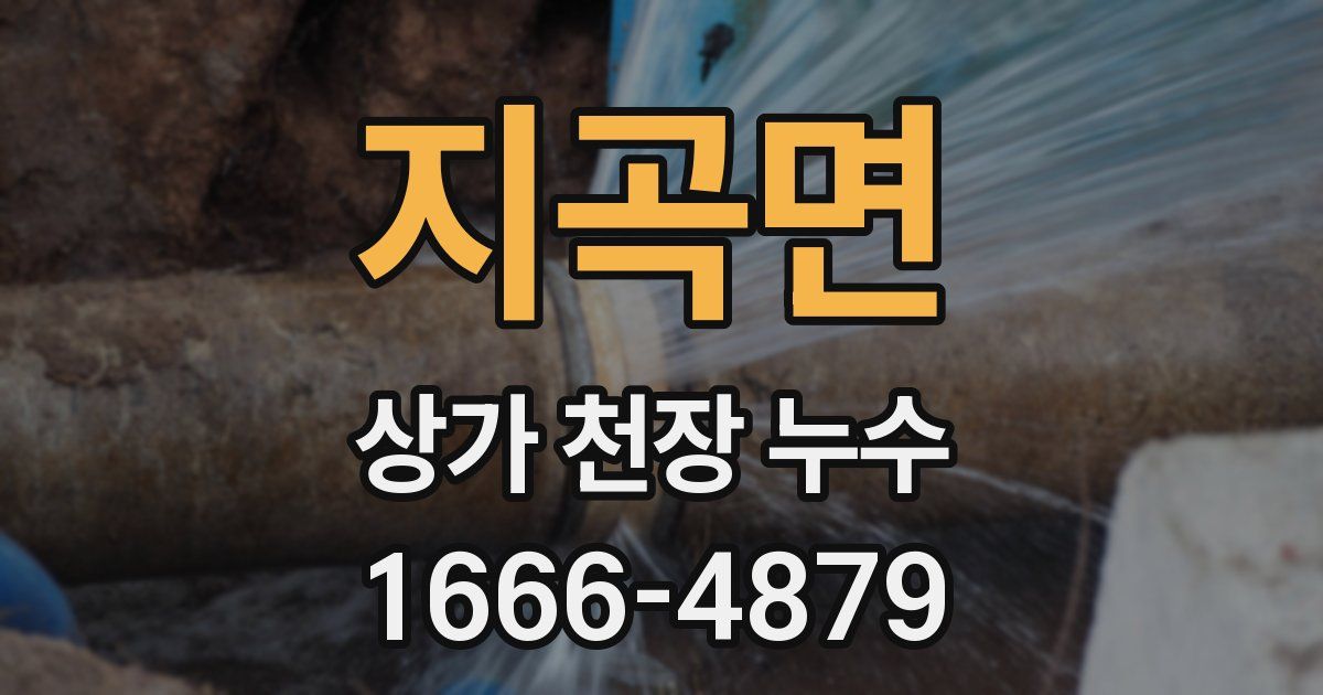 지곡면 상가 천장 누수