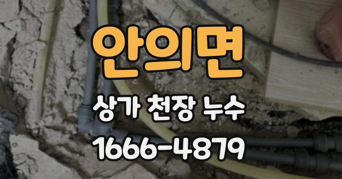 안의면 상가 천장 누수